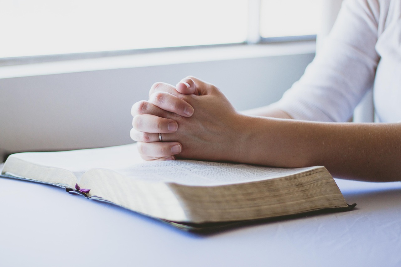 Offerings prayer, bible, christian, folded hands, religion, god, book, faith, christianity, religious, holy, praying, spiritual, reading, person, believe, hope, hand, prayer, prayer, prayer, prayer, prayer, bible, bible, bible, christian, god, faith